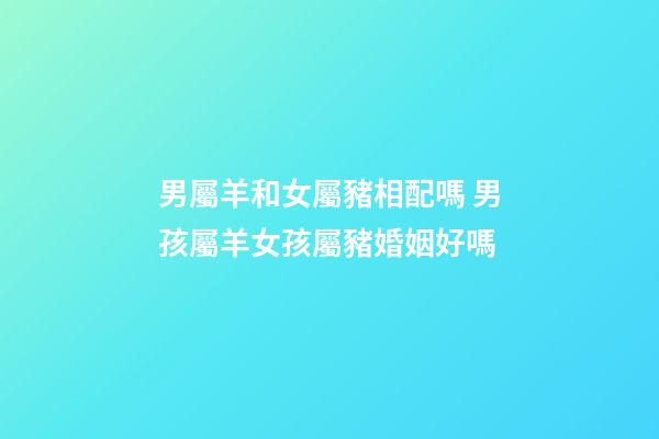 男屬羊和女屬豬相配嗎 男孩屬羊女孩屬豬婚姻好嗎-第1張-觀點-玄機派